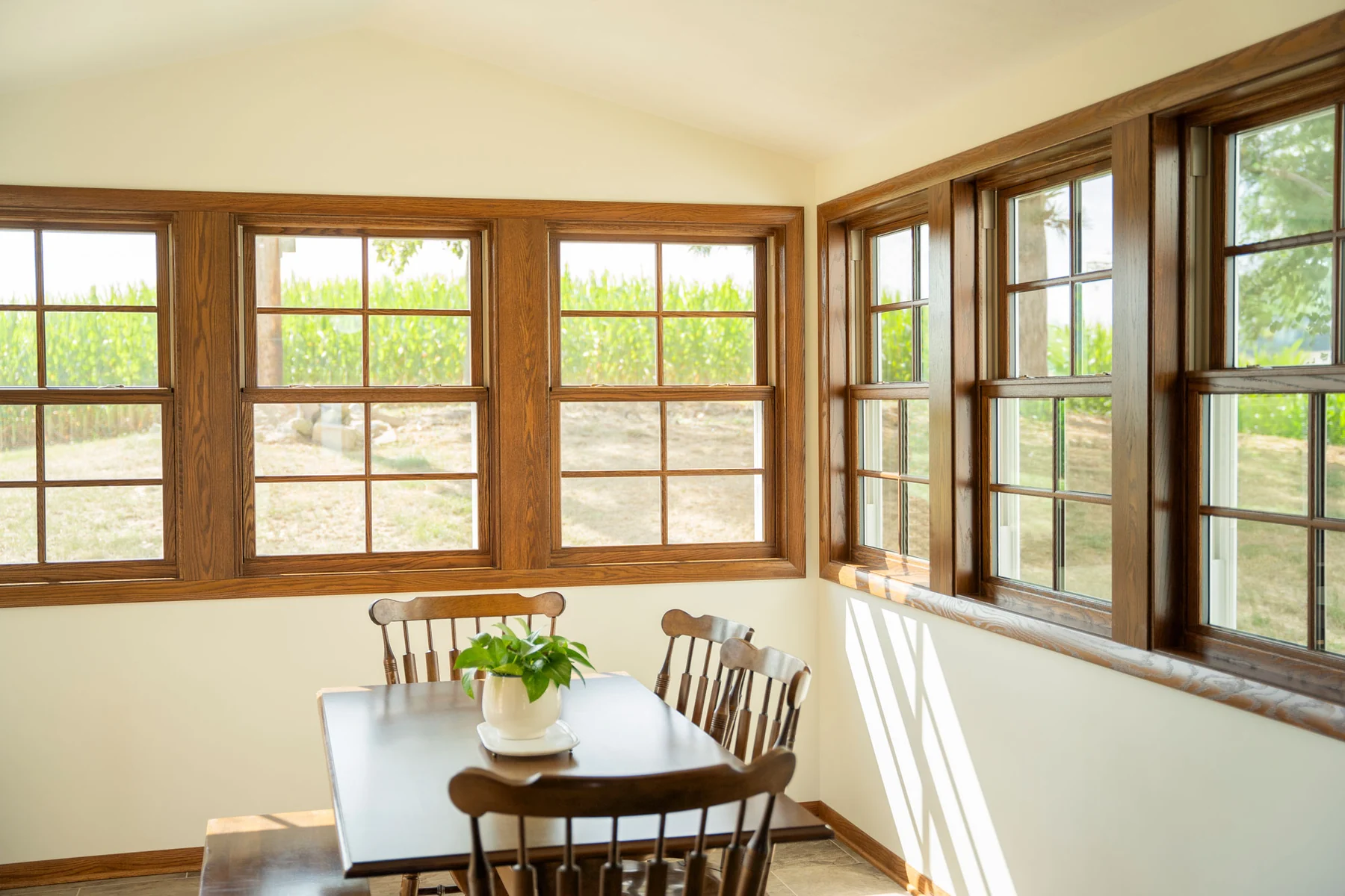 ProVia Aeris caramel double hung windows in a dining room
