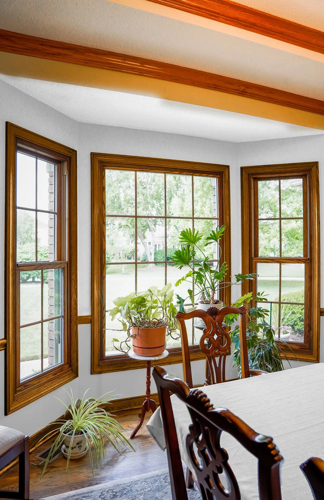 ProVia Aeris wood-clad double hung and picture windows in a dining room